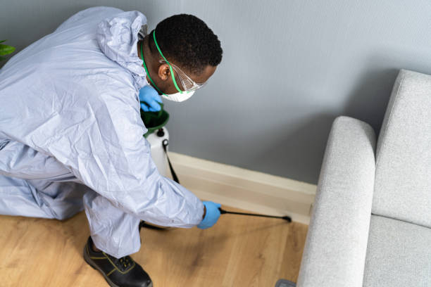 Best Residential Pest Control  in Mulvane, KS